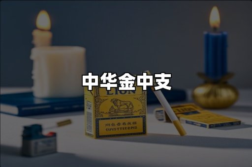 中华金中支