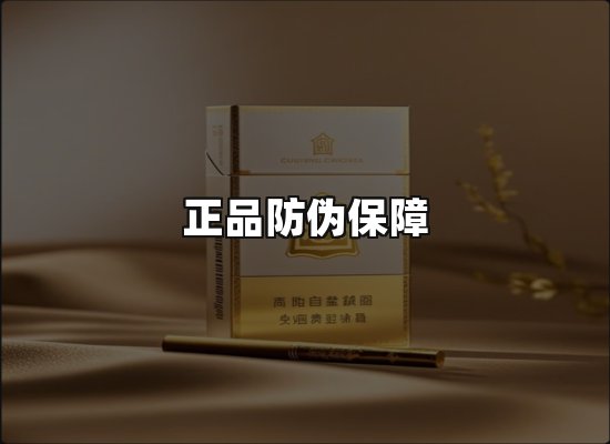 专业优势